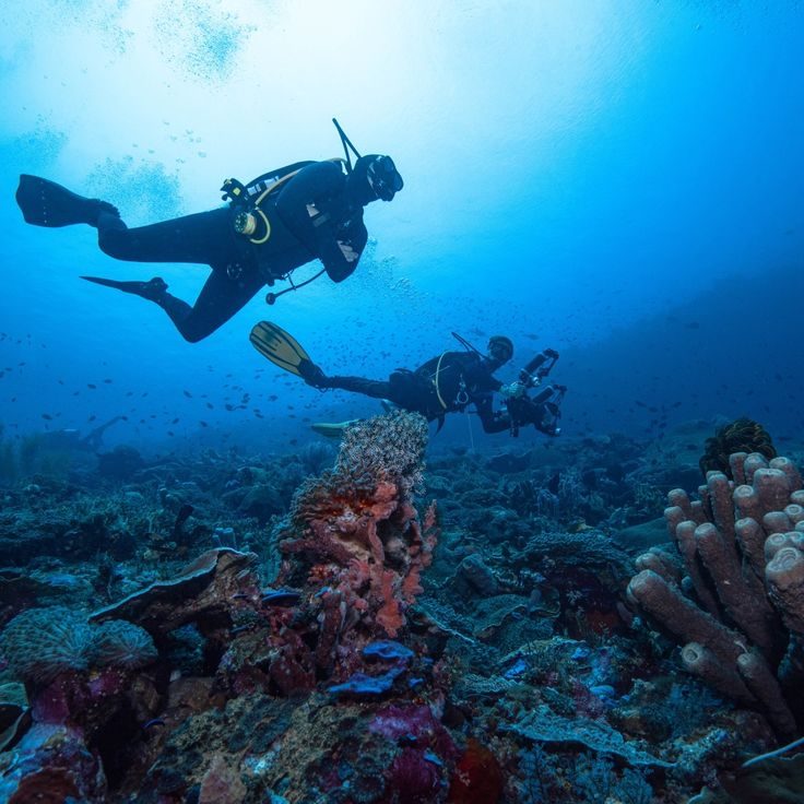 Snorkeling in Neil Island – Dive into the Underwater Paradise of Andaman